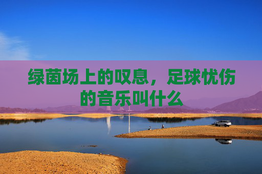 绿茵场上的叹息,足球忧伤的音乐叫什么