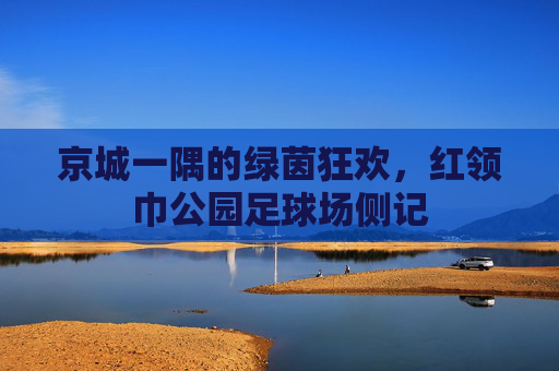 京城一隅的绿茵狂欢,红领巾公园足球场侧记