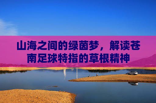 山海之间的绿茵梦,解读苍南足球特指的草根精神