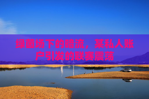 绿茵场下的暗流,某私人账户引发的联赛震荡
