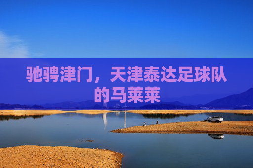 驰骋津门,天津泰达足球队的马莱莱