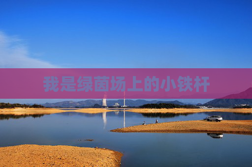我是绿茵场上的小铁杆