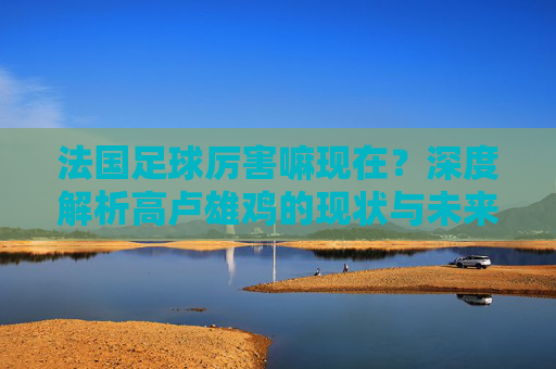 法国足球厉害嘛现在?深度解析高卢雄鸡的现状与未来
