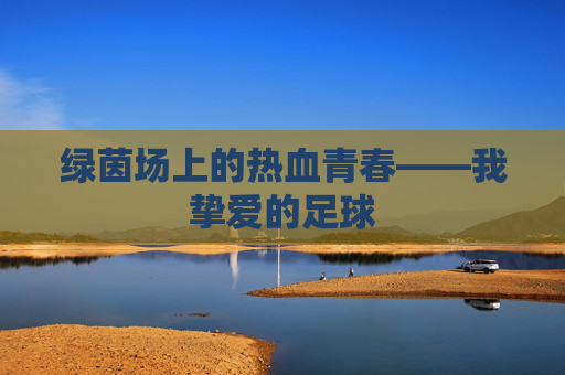 绿茵场上的热血青春——我挚爱的足球