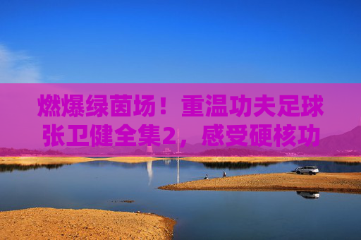 燃爆绿茵场!重温功夫足球张卫健全集2,感受硬核功夫与足球的完美碰撞
