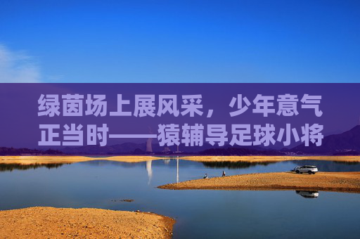 绿茵场上展风采,少年意气正当时——猿辅导足球小将活动纪实