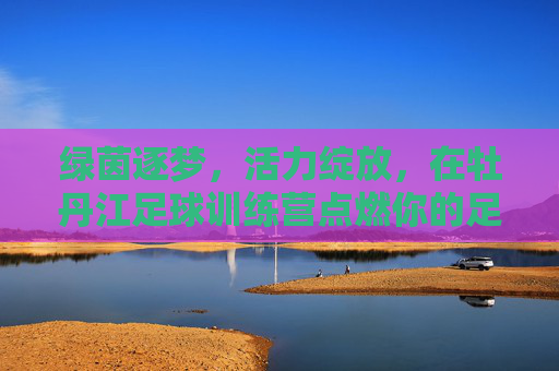 绿茵逐梦,活力绽放,在牡丹江足球训练营点燃你的足球激情
