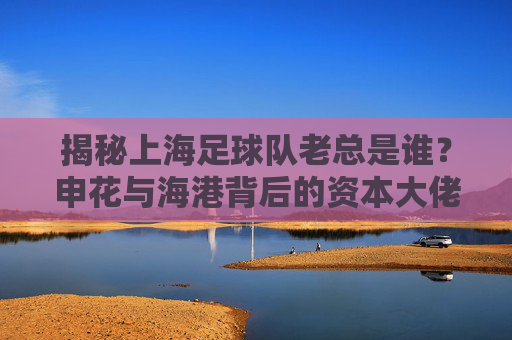揭秘上海足球队老总是谁?申花与海港背后的资本大佬
