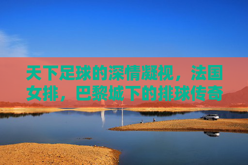 天下足球的深情凝视,法国女排,巴黎城下的排球传奇