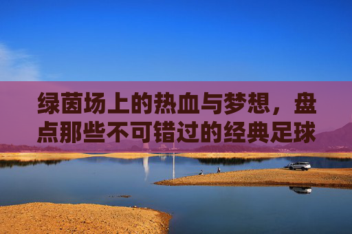 绿茵场上的热血与梦想，盘点那些不可错过的经典足球电影
