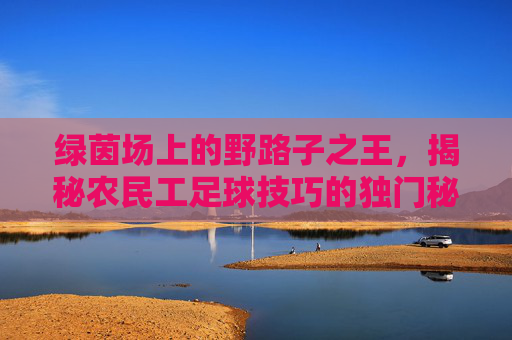 绿茵场上的野路子之王,揭秘农民工足球技巧的独门秘籍