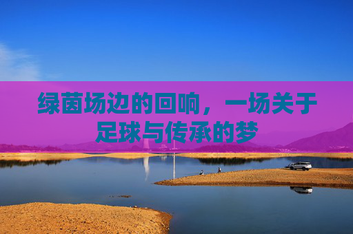 绿茵场边的回响，一场关于足球与传承的梦