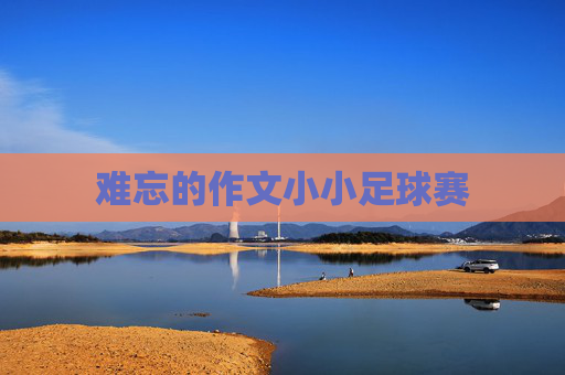 难忘的作文小小足球赛