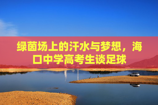 绿茵场上的汗水与梦想,海口中学高考生谈足球