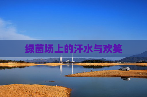 绿茵场上的汗水与欢笑