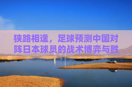 狭路相逢,足球预测中国对阵日本球员的战术博弈与胜负手