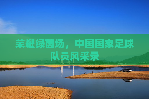 荣耀绿茵场,中国国家足球队员风采录