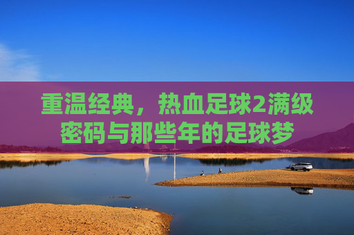 重温经典,热血足球2满级密码与那些年的足球梦