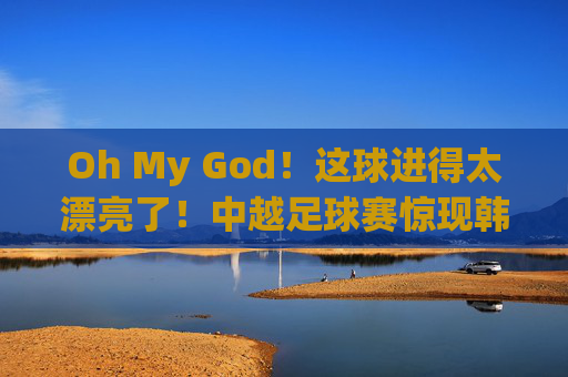 Oh My God!这球进得太漂亮了!中越足球赛惊现韩国解说,画风突变引热议