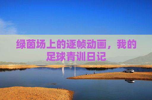 绿茵场上的逐帧动画,我的足球青训日记
