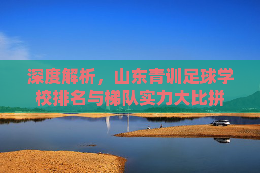 深度解析,山东青训足球学校排名与梯队实力大比拼