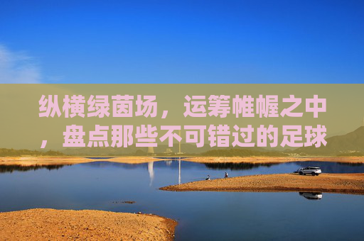 纵横绿茵场,运筹帷幄之中,盘点那些不可错过的足球经营类中文版游戏