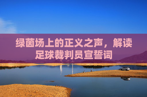 绿茵场上的正义之声,解读足球裁判员宣誓词