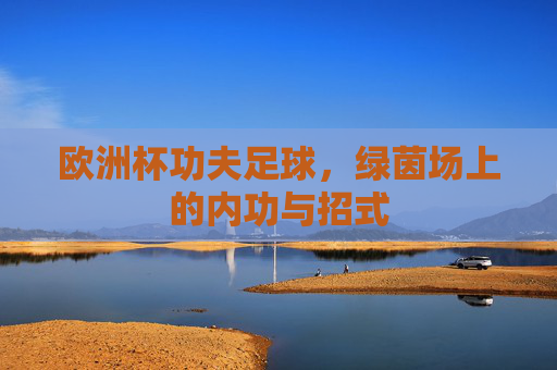 欧洲杯功夫足球，绿茵场上的内功与招式