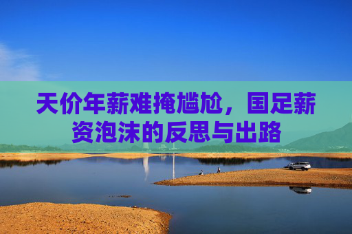 天价年薪难掩尴尬,国足薪资泡沫的反思与出路