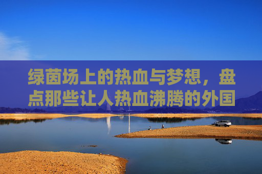 绿茵场上的热血与梦想,盘点那些让人热血沸腾的外国男主踢足球电影
