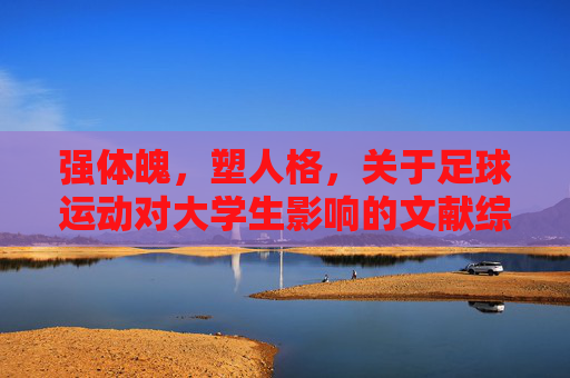 强体魄,塑人格,关于足球运动对大学生影响的文献综述