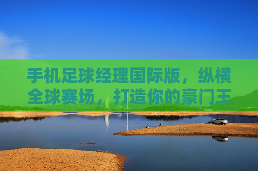 手机足球经理国际版,纵横全球赛场,打造你的豪门王朝