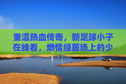 重温热血传奇,新足球小子在线看,燃情绿茵场上的少年梦