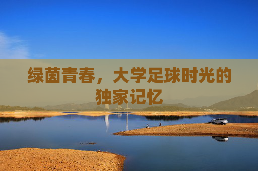 绿茵青春，大学足球时光的独家记忆