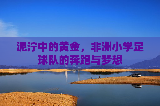 泥泞中的黄金,非洲小学足球队的奔跑与梦想