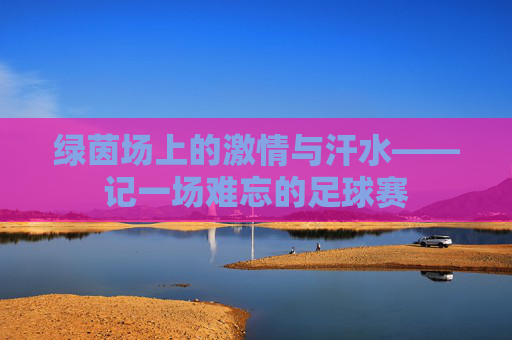 绿茵场上的激情与汗水——记一场难忘的足球赛