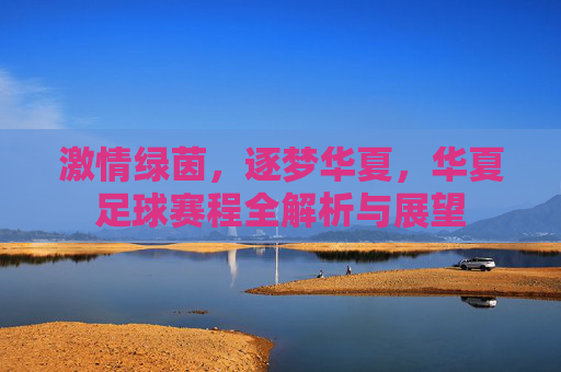 激情绿茵,逐梦华夏,华夏足球赛程全解析与展望