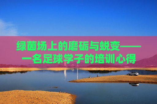 绿茵场上的磨砺与蜕变——一名足球学子的培训心得