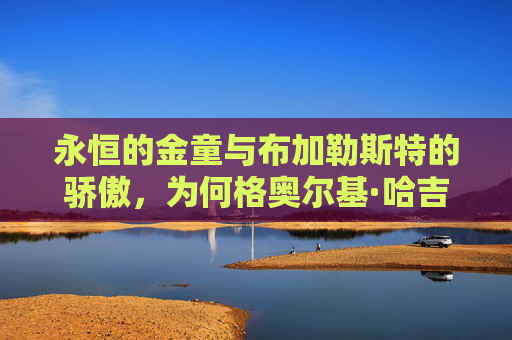 永恒的金童与布加勒斯特的骄傲,为何格奥尔基·哈吉是罗马尼亚最伟大的足球