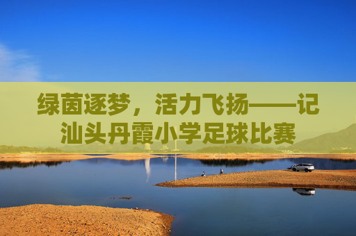 绿茵逐梦,活力飞扬——记汕头丹霞小学足球比赛