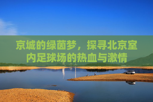 京城的绿茵梦，探寻北京室内足球场的热血与激情