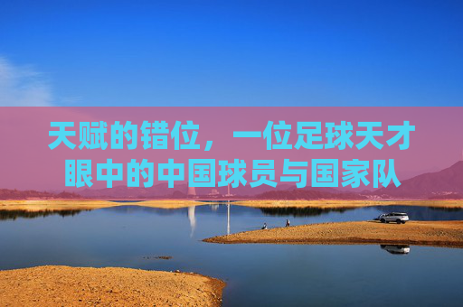 天赋的错位,一位足球天才眼中的中国球员与国家队