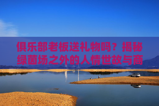俱乐部老板送礼物吗?揭秘绿茵场之外的人情世故与商业博弈
