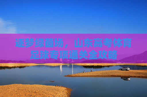 逐梦绿茵场,山东高考体育足球专项通关全攻略