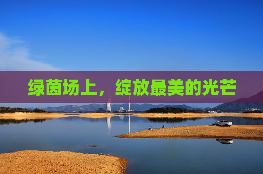 绿茵场上,绽放最美的光芒