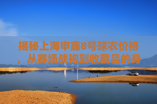 揭秘上海申鑫8号球衣价格,从赛场战袍到收藏品的身价几何?
