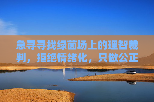 急寻寻找绿茵场上的理智裁判，拒绝情绪化，只做公正的守望者