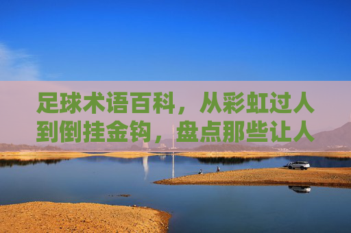 足球术语百科,从彩虹过人到倒挂金钩,盘点那些让人热血沸腾的球场技能