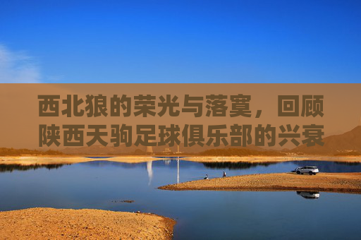 西北狼的荣光与落寞,回顾陕西天驹足球俱乐部的兴衰史