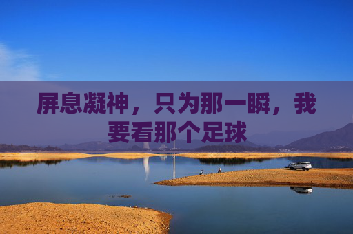屏息凝神,只为那一瞬,我要看那个足球